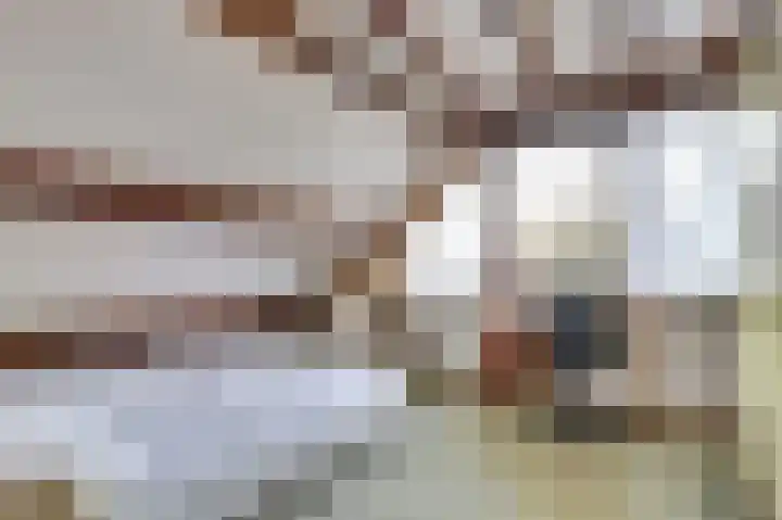 Mastgat 32 Hansweert thumbnail 20