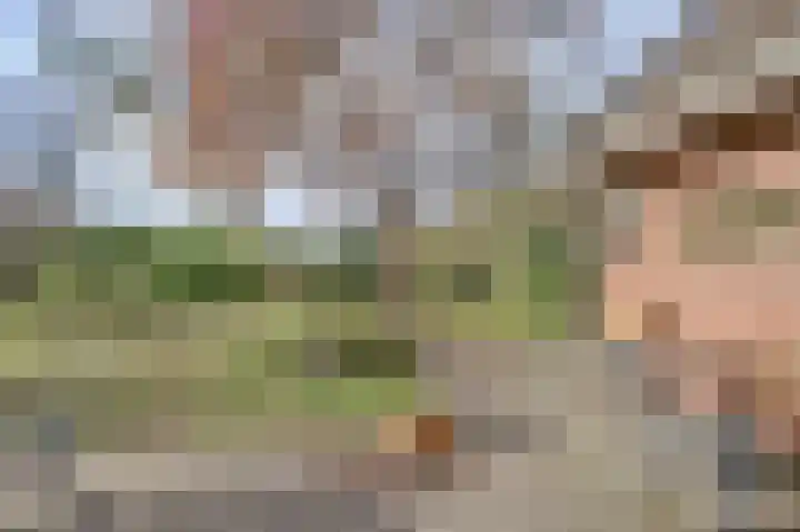 Mastgat 32 Hansweert thumbnail 29
