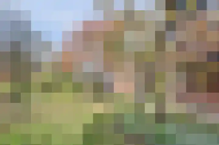 Mastgat 32 Hansweert thumbnail 30