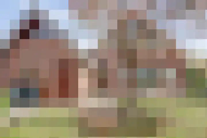 Mastgat 32 Hansweert thumbnail 31