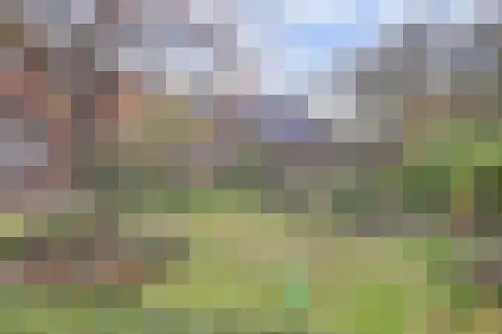 Mastgat 32 Hansweert thumbnail 32