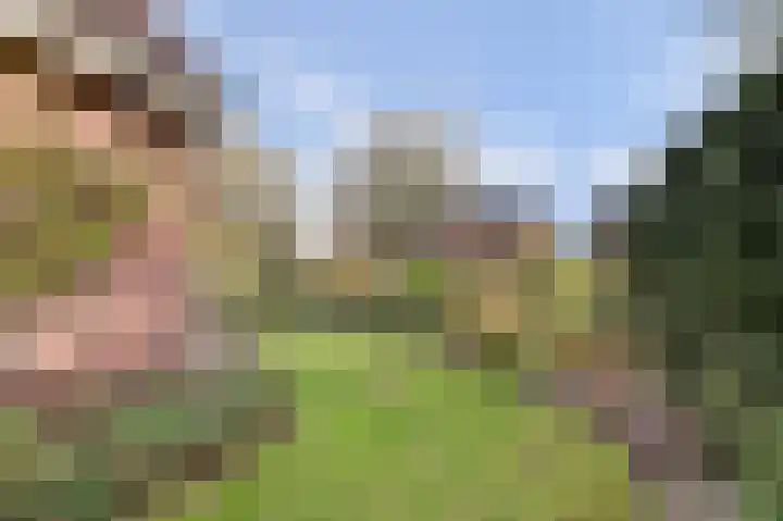 Mastgat 32 Hansweert thumbnail 33
