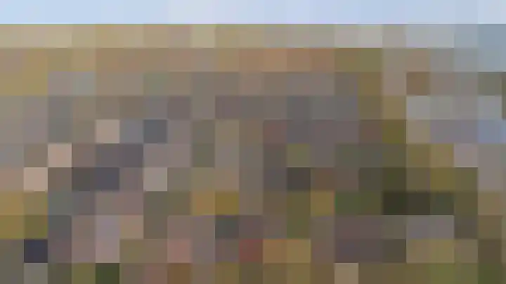 Mastgat 32 Hansweert thumbnail 38