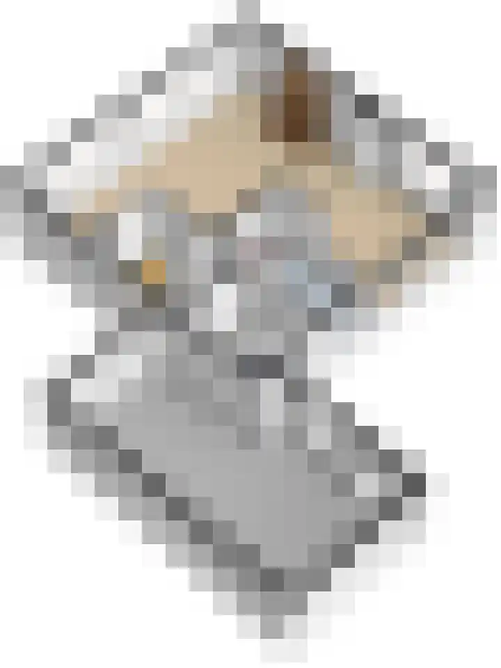 Mastgat 32 Hansweert thumbnail 46