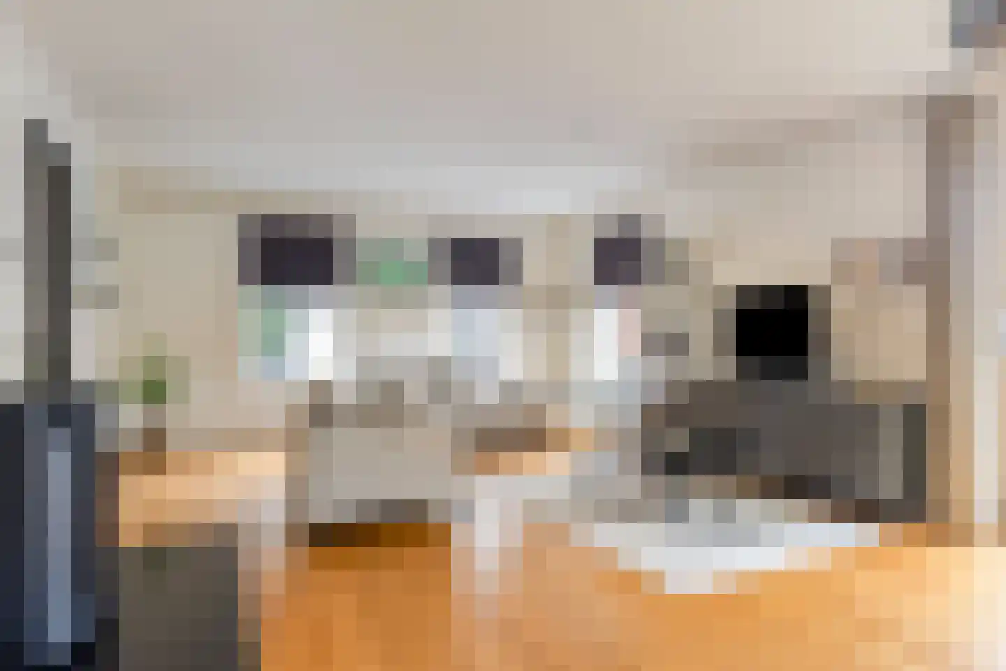 Mastgat 4 Kortgene thumbnail 11