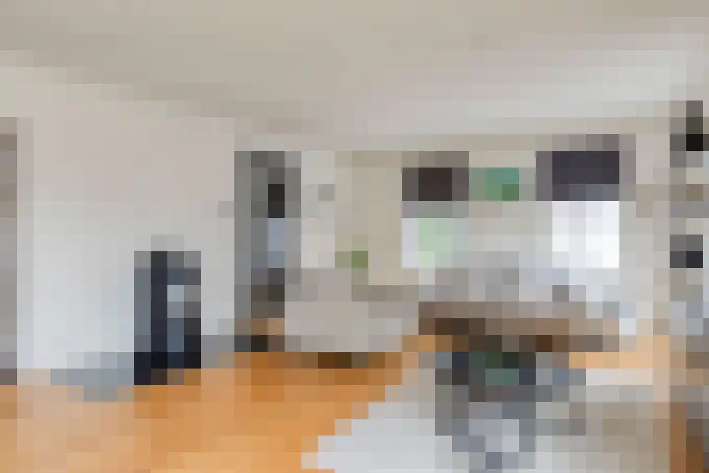 Mastgat 4 Kortgene thumbnail 12
