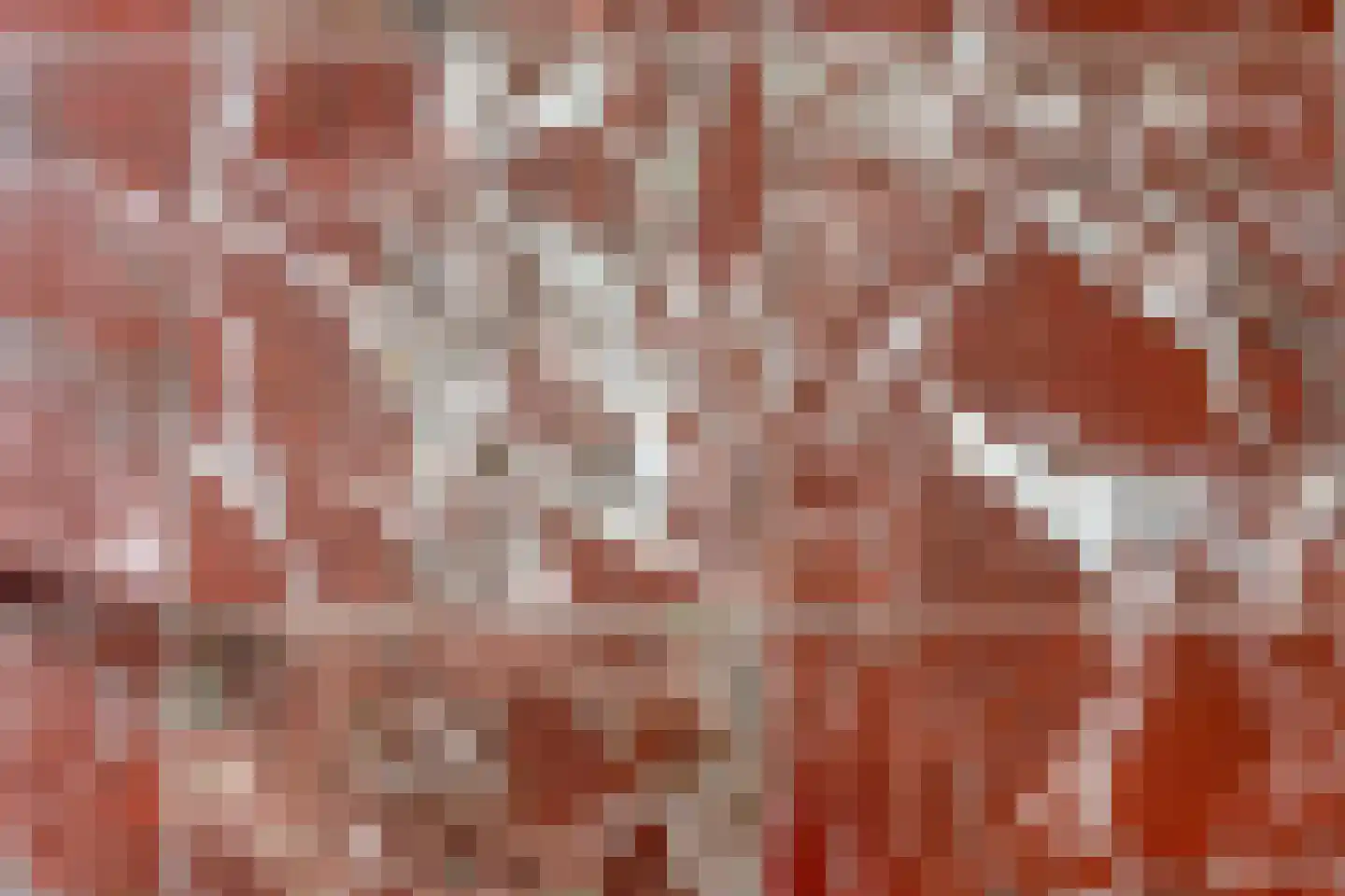 Mastgat 4 Kortgene thumbnail 15