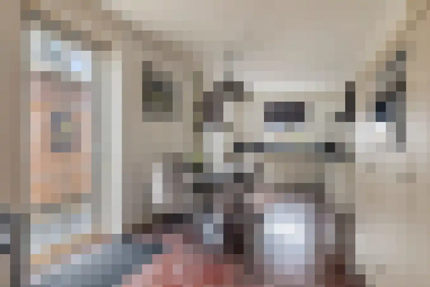 Mastgat 4 Kortgene thumbnail 19