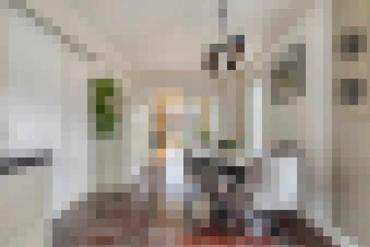 Mastgat 4 Kortgene thumbnail 20