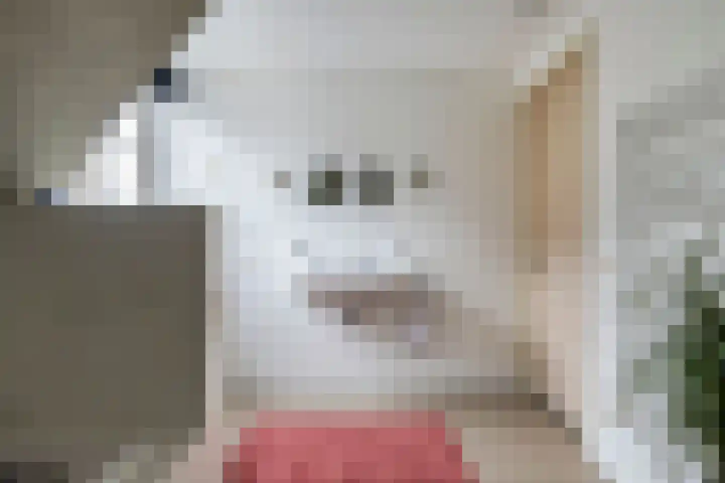 Mastgat 4 Kortgene foto 3