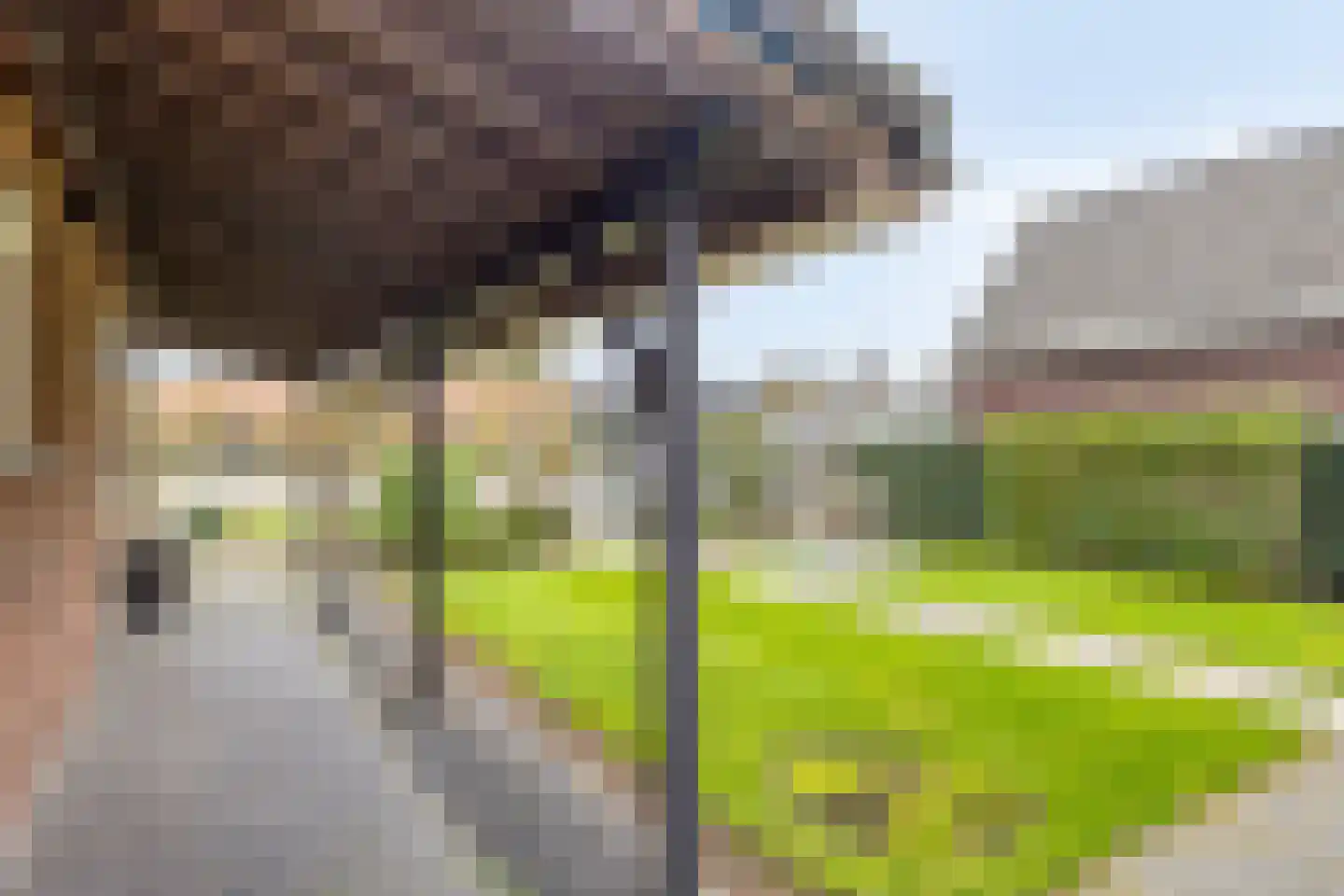 Mastgat 4 Kortgene thumbnail 31