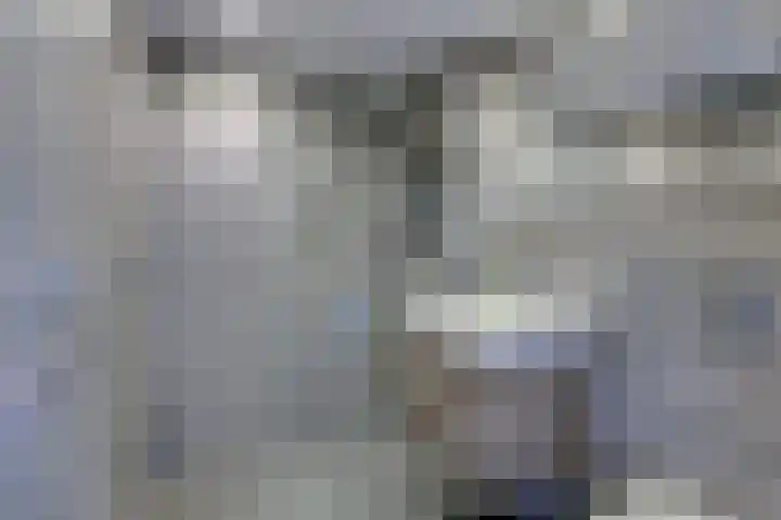Mastgatpad 39 Almere thumbnail 28