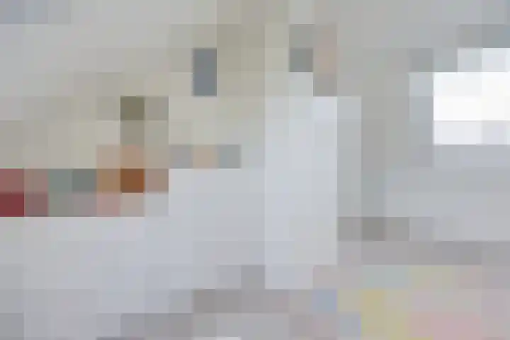 Mastgatpad 39 Almere thumbnail 33
