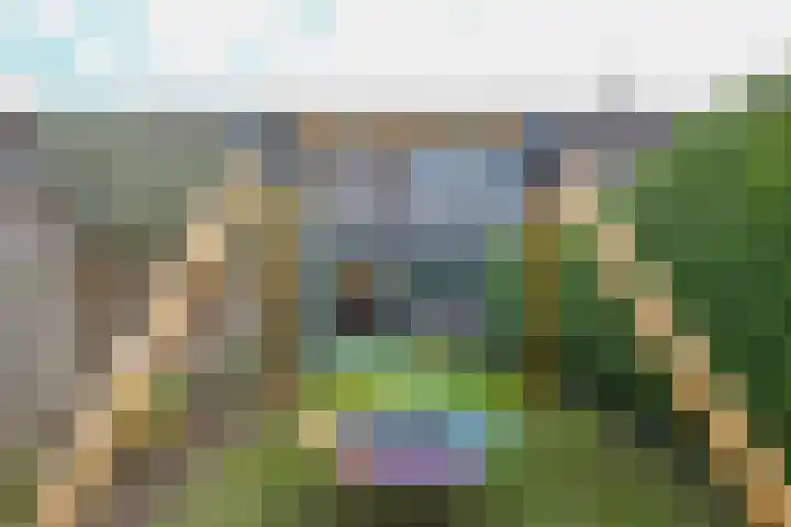 Mastgatpad 39 Almere thumbnail 41