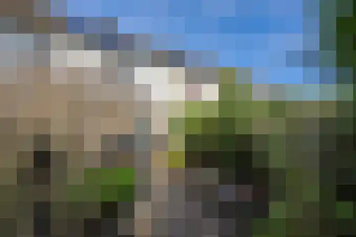 Mastgatpad 39 Almere thumbnail 42
