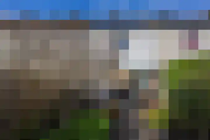 Mastgatpad 39 Almere thumbnail 44