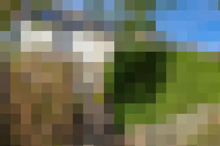 Mastgatpad 39 Almere thumbnail 45