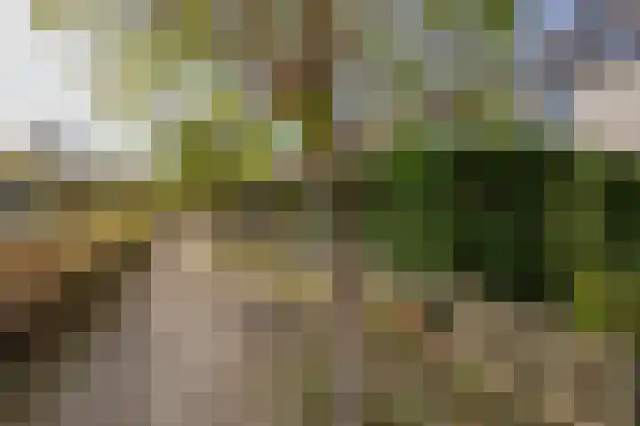 Mastgatpad 39 Almere thumbnail 46