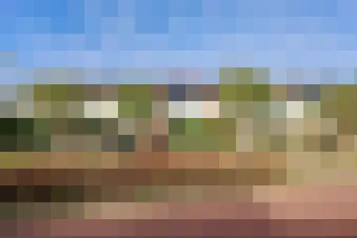 Mastgatpad 39 Almere thumbnail 47