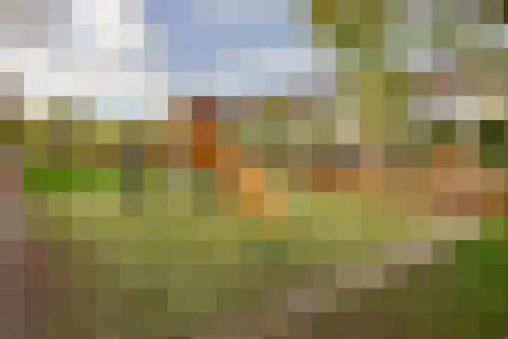Mastgatpad 39 Almere thumbnail 48