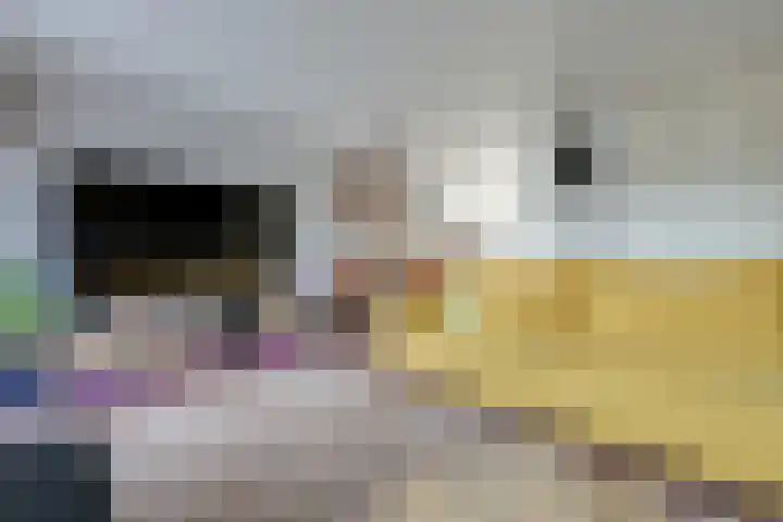 Mastgatpad 39 Almere thumbnail 7
