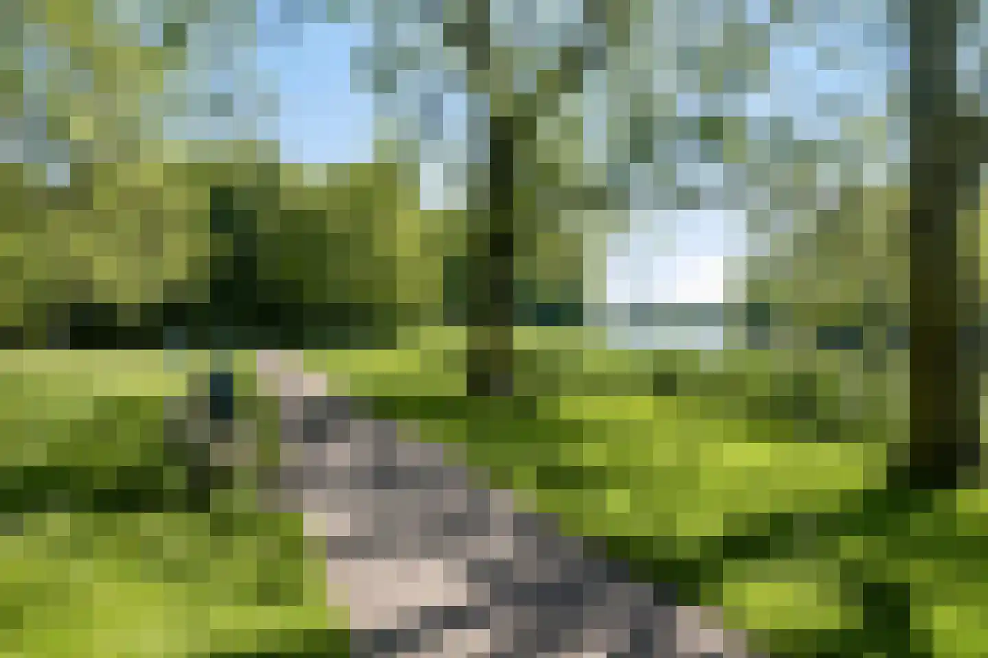 Mastgatpad 46 Almere thumbnail 28