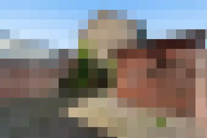 Mastland 16 Westmaas thumbnail 18