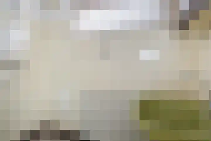 Mastland 16 Westmaas thumbnail 30