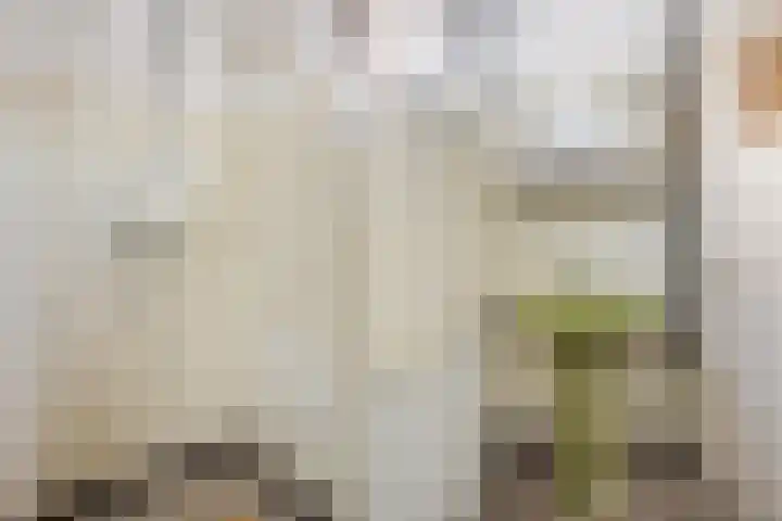 Mastland 16 Westmaas thumbnail 31