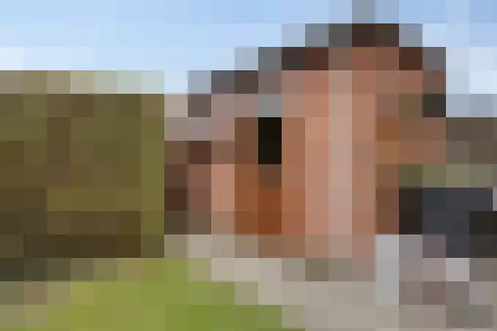 Mastland 22 Westmaas thumbnail 19