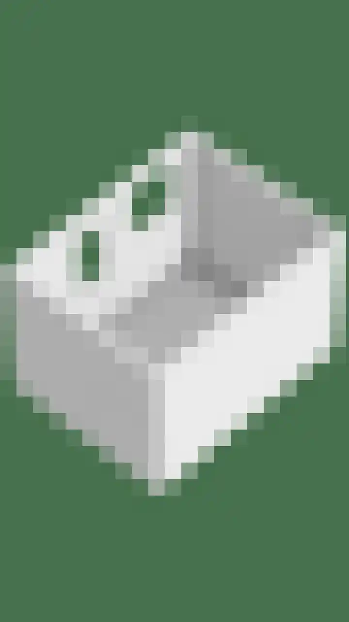 Mastland 22 Westmaas thumbnail 31