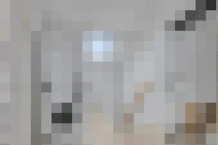 Mastland 5 Breda thumbnail 23