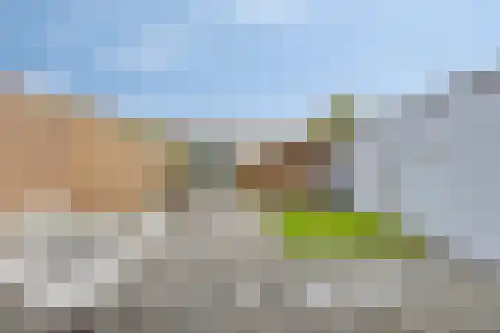Mastland 5 Breda thumbnail 26