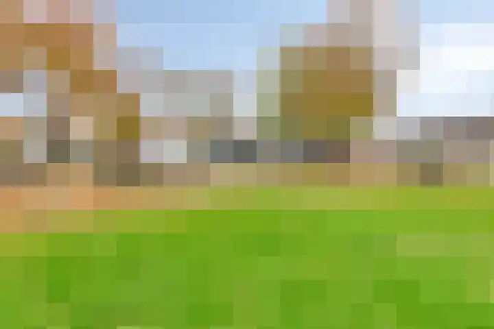 Mastland 5 Breda thumbnail 30