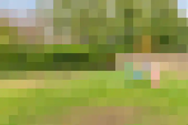 Mastland 5 Breda thumbnail 31
