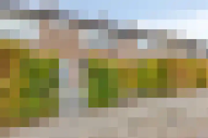 Mastland 5 Breda thumbnail 33
