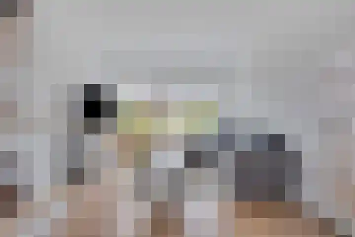 Mastland 5 Breda thumbnail 7