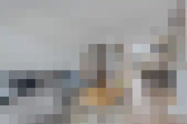 Mastland 5 Breda thumbnail 8
