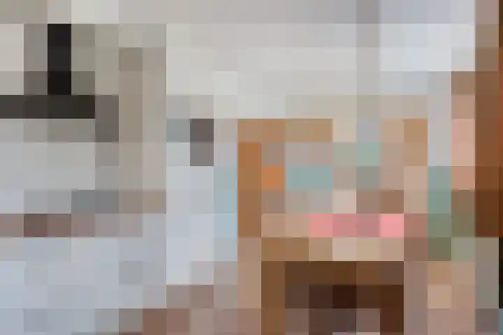 Mastlerweg 2 Almen thumbnail 12