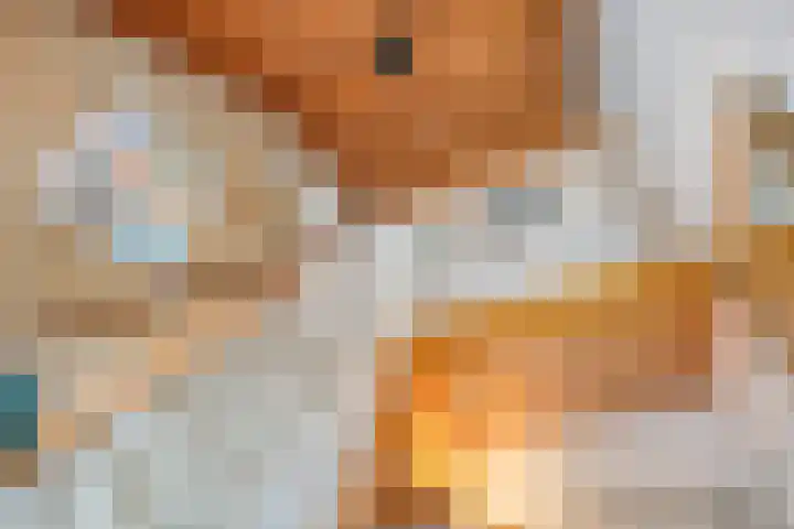 Mastlerweg 2 Almen thumbnail 22
