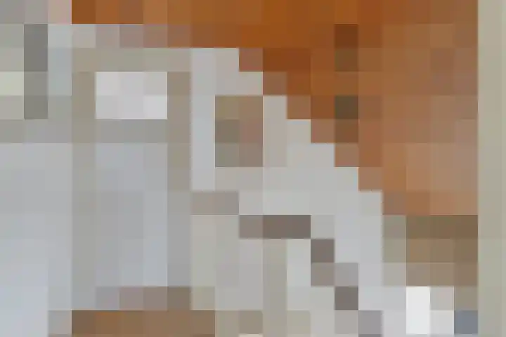 Mastlerweg 2 Almen thumbnail 23