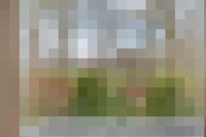 Mastlerweg 2 Almen thumbnail 25