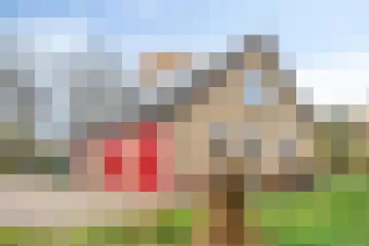 Mastlerweg 2 Almen thumbnail 32