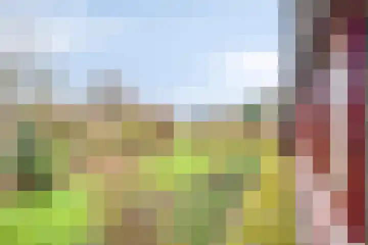 Mastlerweg 2 Almen thumbnail 40