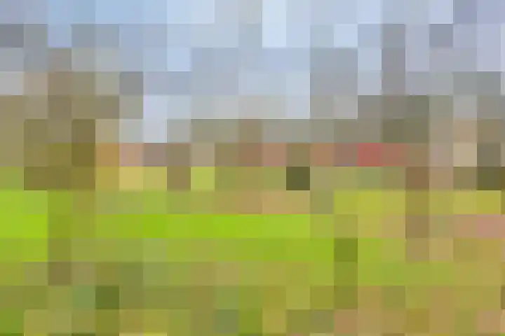 Mastlerweg 2 Almen thumbnail 43