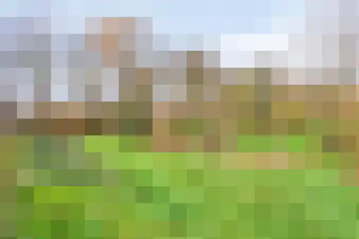 Mastlerweg 2 Almen thumbnail 44