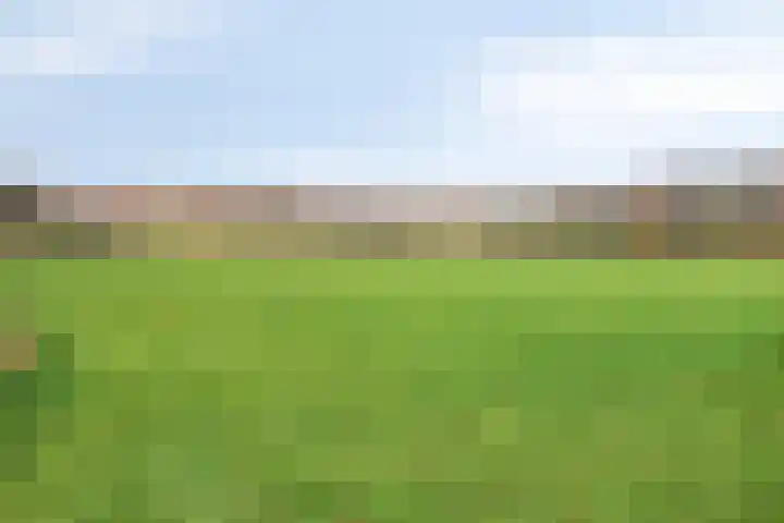 Mastlerweg 2 Almen thumbnail 46