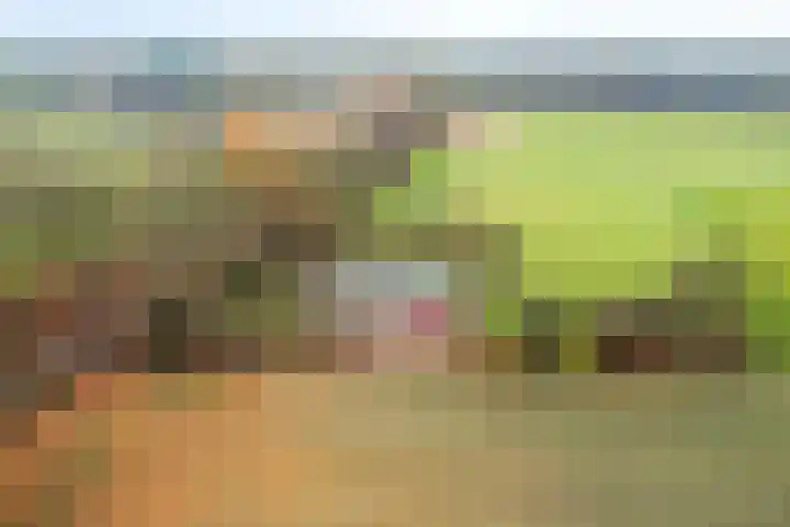 Mastlerweg 2 Almen thumbnail 47