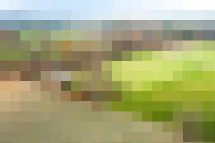 Mastlerweg 2 Almen thumbnail 48