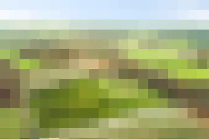 Mastlerweg 2 Almen thumbnail 49